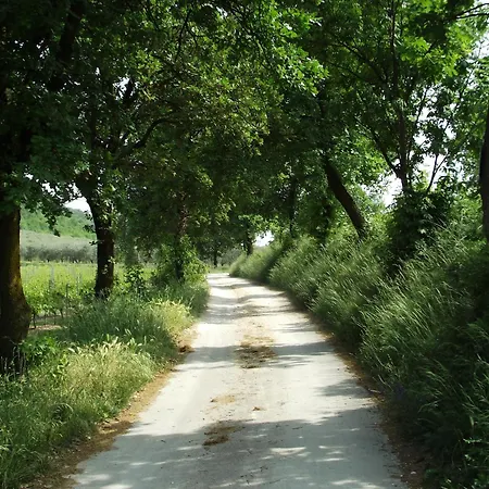 Ca' Castellani