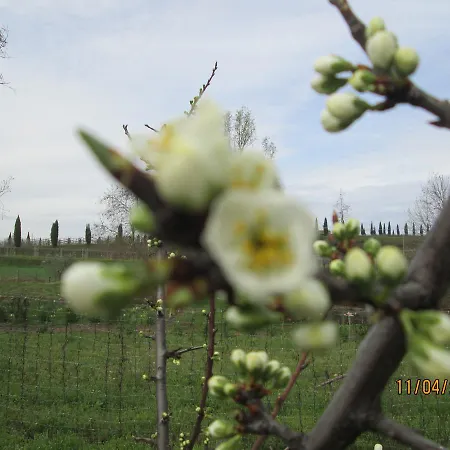 Ca' Castellani Bardolino
