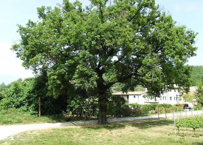 Апартаменти Ca' Castellani *