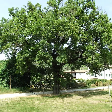 مزرعة للإقامة Agriturismo Ca' Castellani *