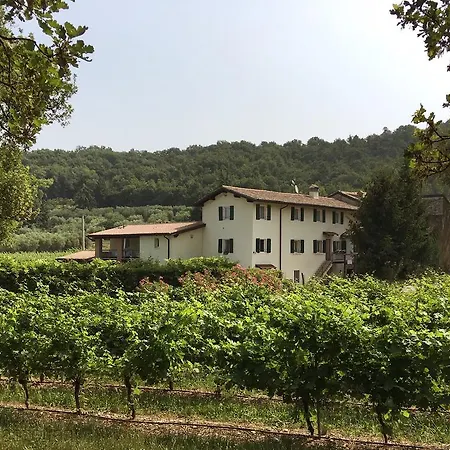 Apartment Ca' Castellani Bardolino